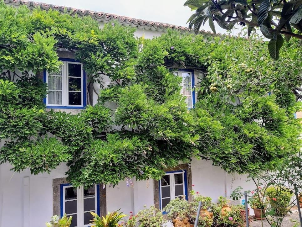 Vila Casa Do Sobral Óbidos Exteriör bild