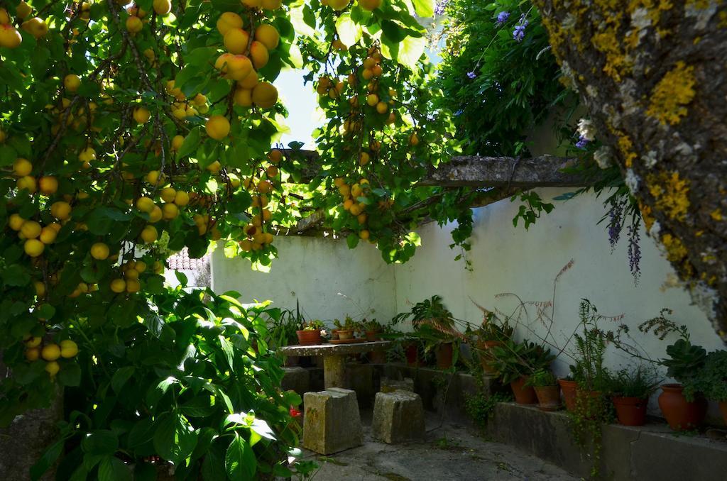 Vila Casa Do Sobral Óbidos Rum bild